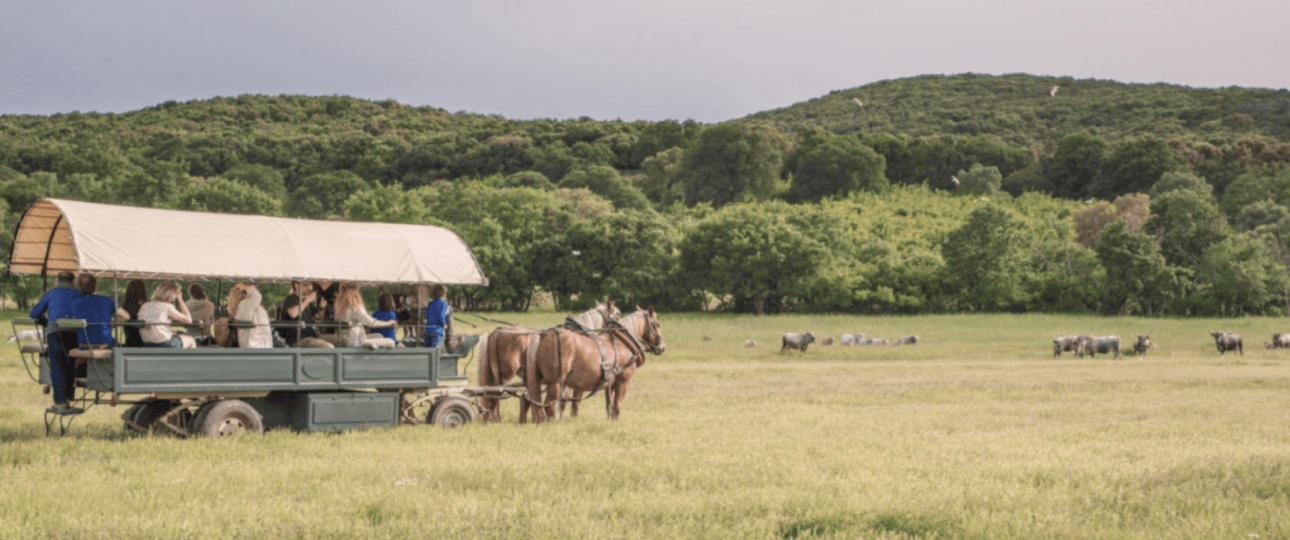 Carriage Ride in the Maremma
