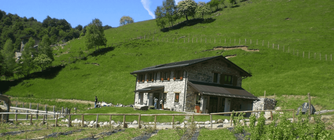 Hiking Among Lamas on Lake Como