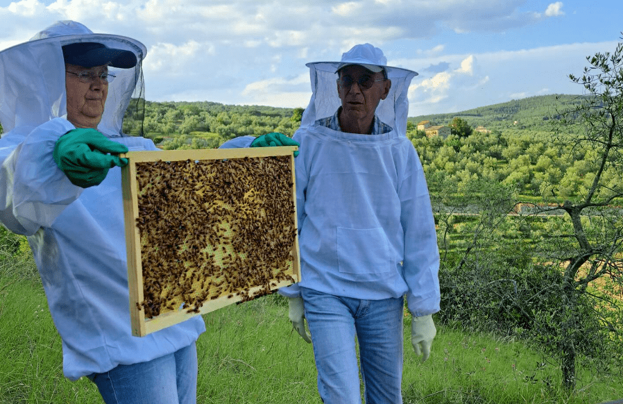 Beekeeping Experience