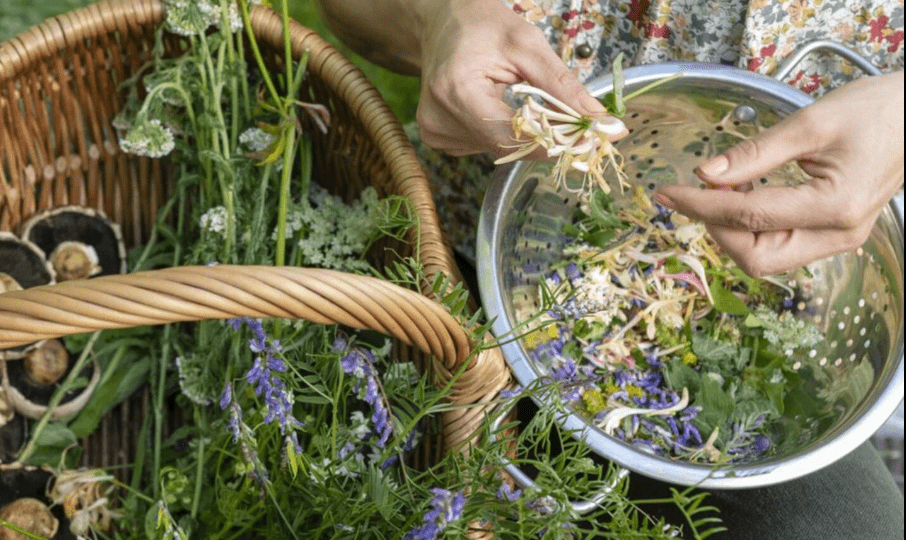 Wild Herb Workshop